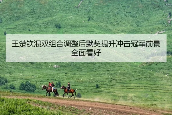 王楚钦混双组合调整后默契提升冲击冠军前景全面看好