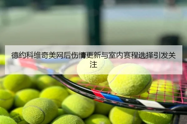 德约科维奇美网后伤情更新与室内赛程选择引发关注