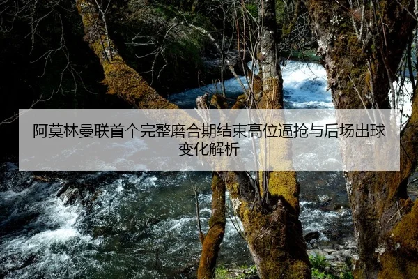 阿莫林曼联首个完整磨合期结束高位逼抢与后场出球变化解析